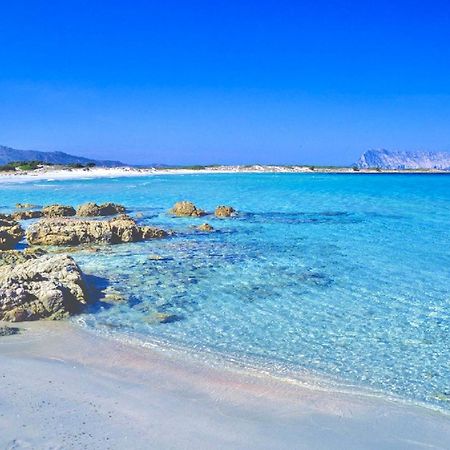 סאן תאודורו Iss Travel, Panoramic Coda Cavallo Cottages - 10 Km From San Teodoro מראה חיצוני תמונה